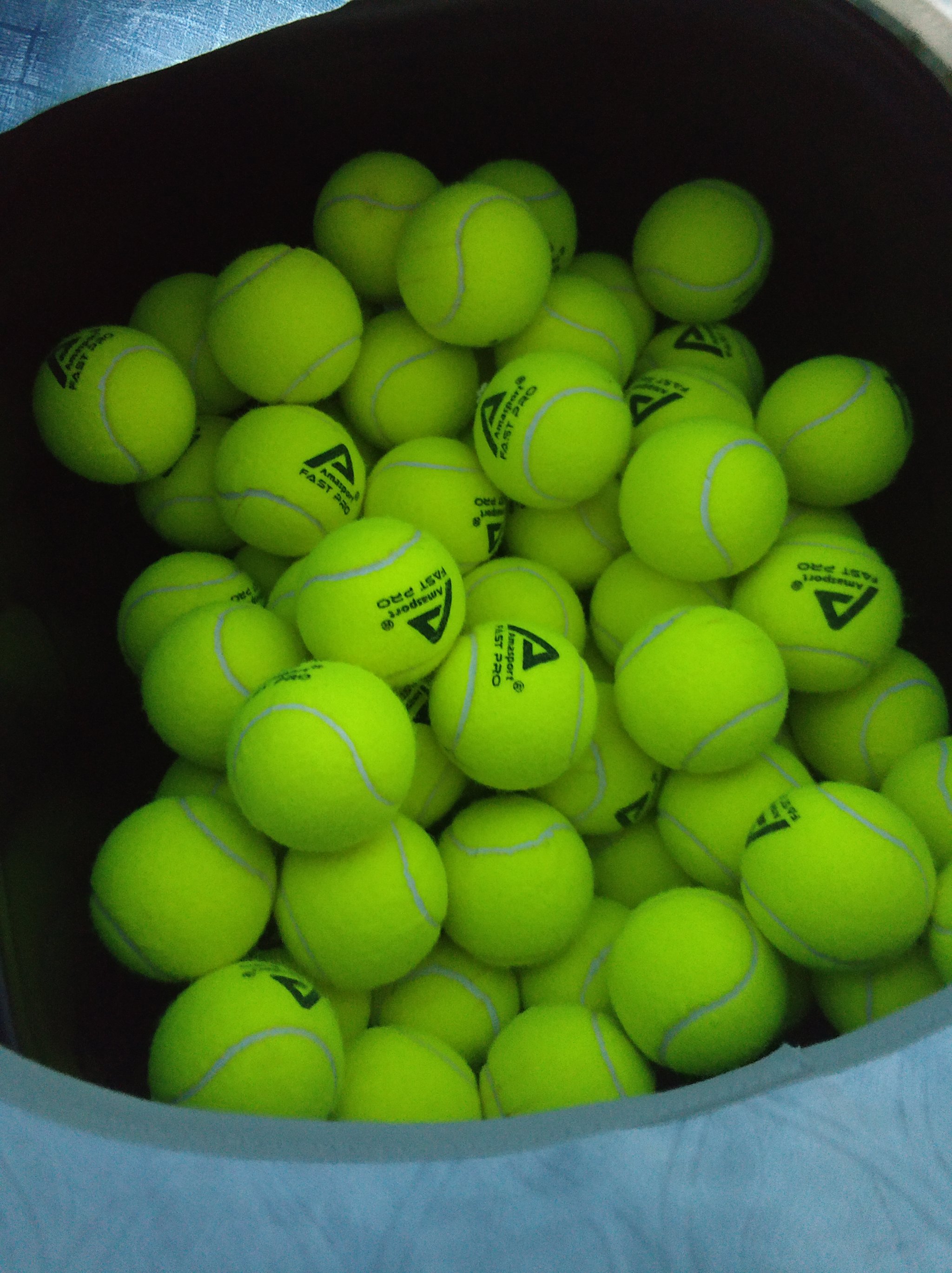 了更丰富的 了更丰富的